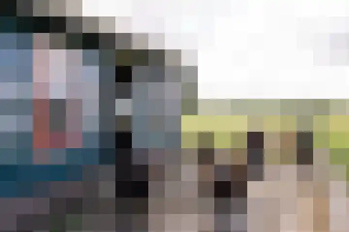 Knokkel 46 Andijk thumbnail 85