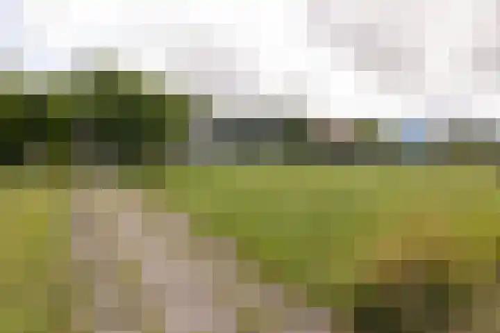 Knokkel 46 Andijk thumbnail 86