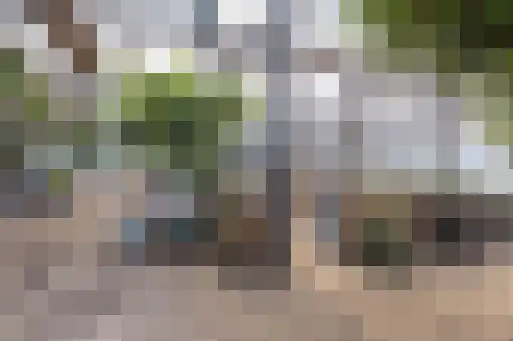 Knokkel 46 Andijk thumbnail 87