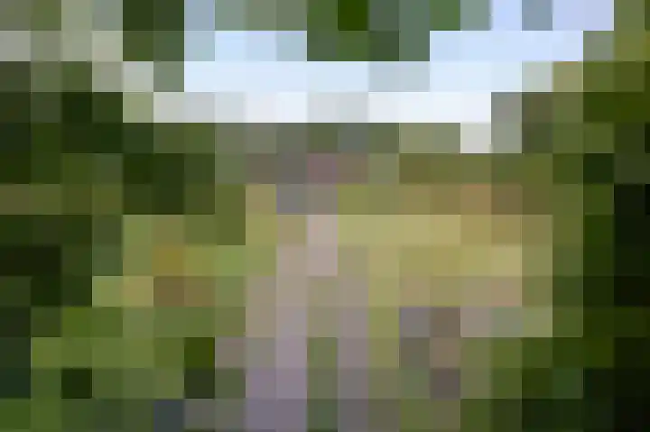 Knokkel 46 Andijk thumbnail 88
