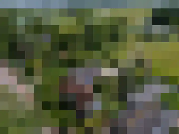Knokkel 46 Andijk thumbnail 89