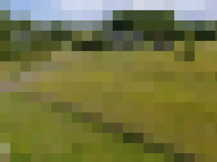 Knokkel 46 Andijk thumbnail 90