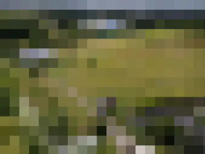 Knokkel 46 Andijk thumbnail 91