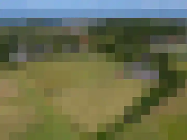 Knokkel 46 Andijk thumbnail 93