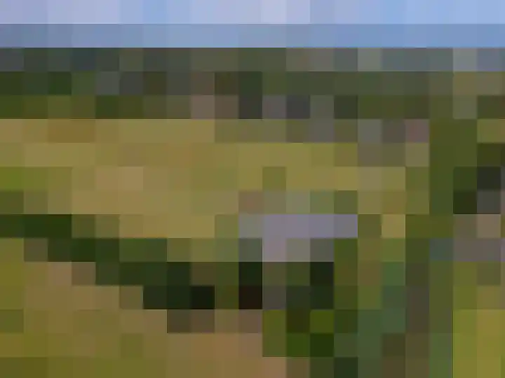 Knokkel 46 Andijk thumbnail 94