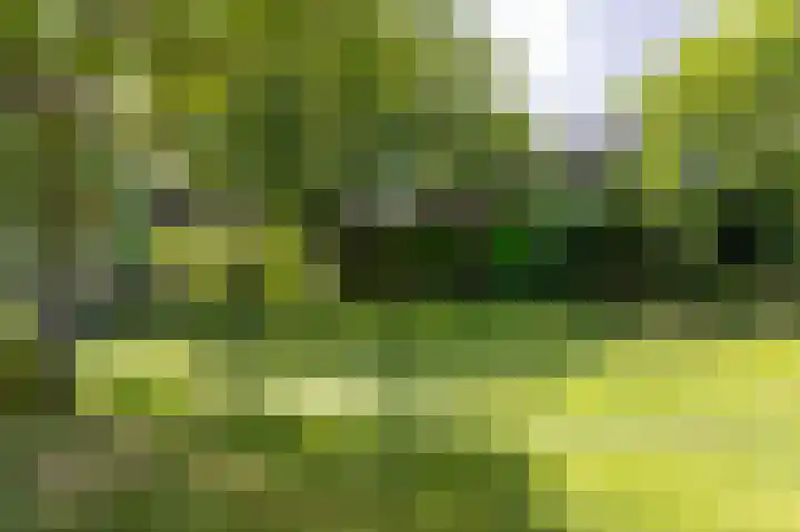 Knokkel 46 Andijk thumbnail 97