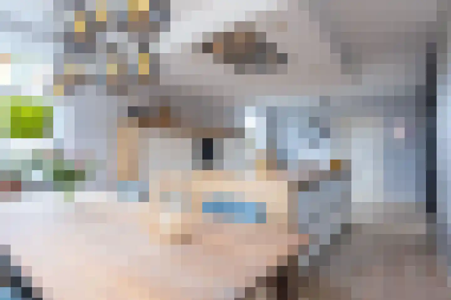 Knokkel 80 Andijk thumbnail 10
