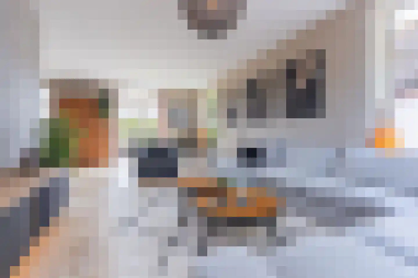Knokkel 80 Andijk thumbnail 25