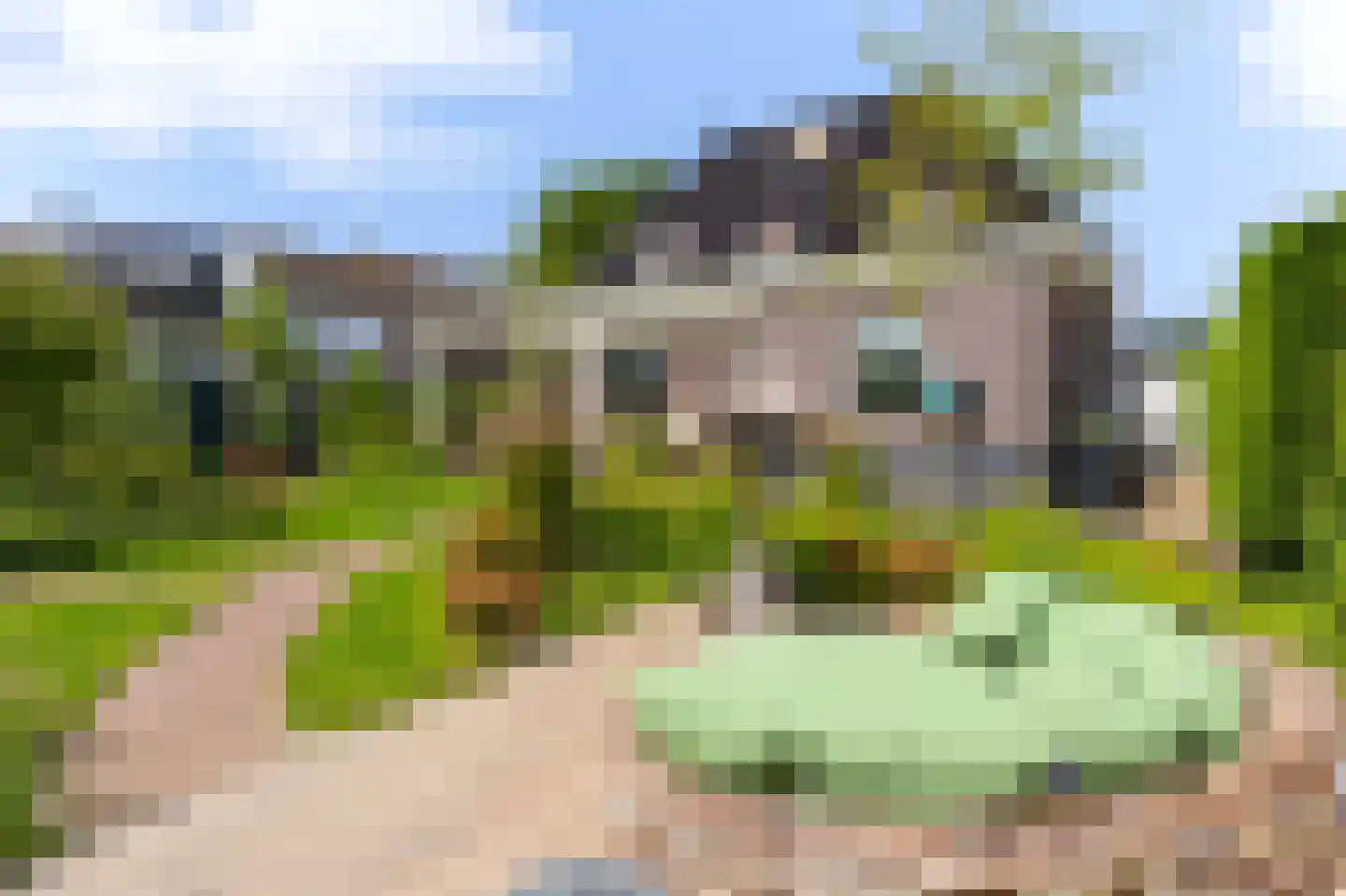 Knokkel 80 Andijk thumbnail 37