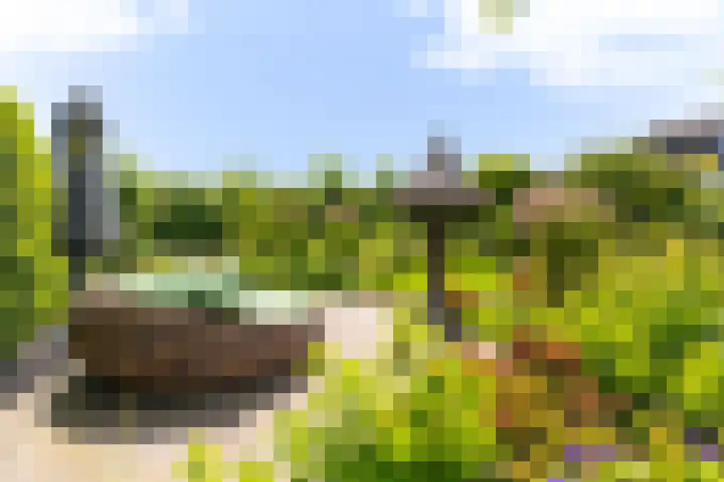 Knokkel 80 Andijk thumbnail 39