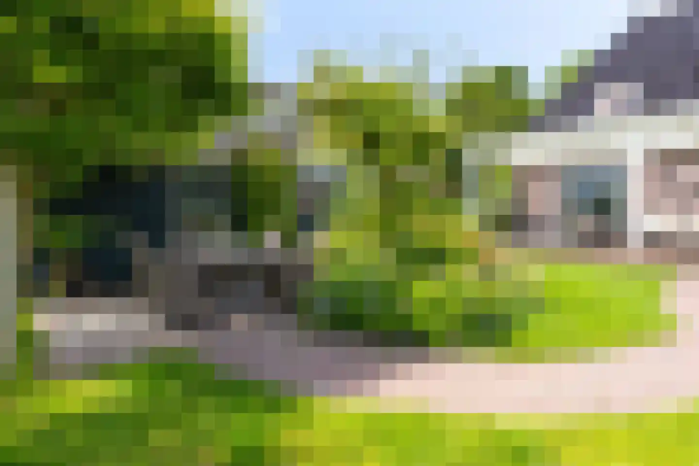 Knokkel 80 Andijk thumbnail 40