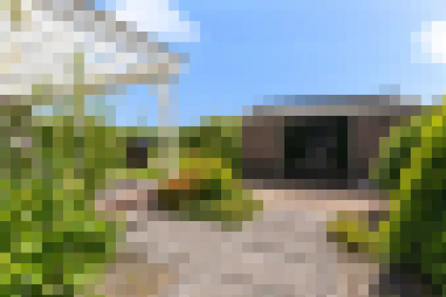 Knokkel 80 Andijk thumbnail 41