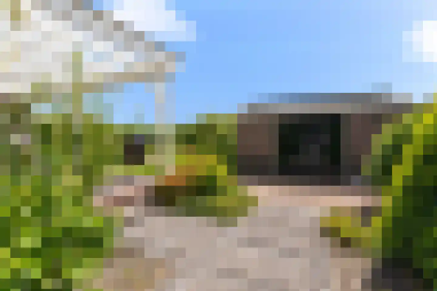 Knokkel 80 Andijk thumbnail 41
