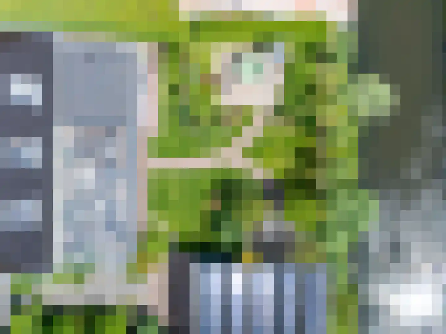 Knokkel 80 Andijk thumbnail 43