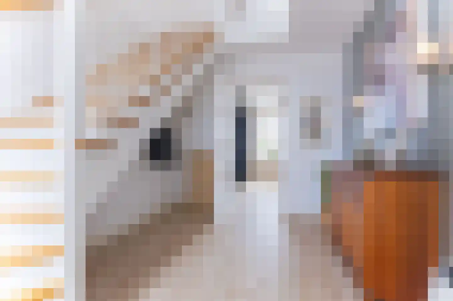 Knokkel 80 Andijk thumbnail 47