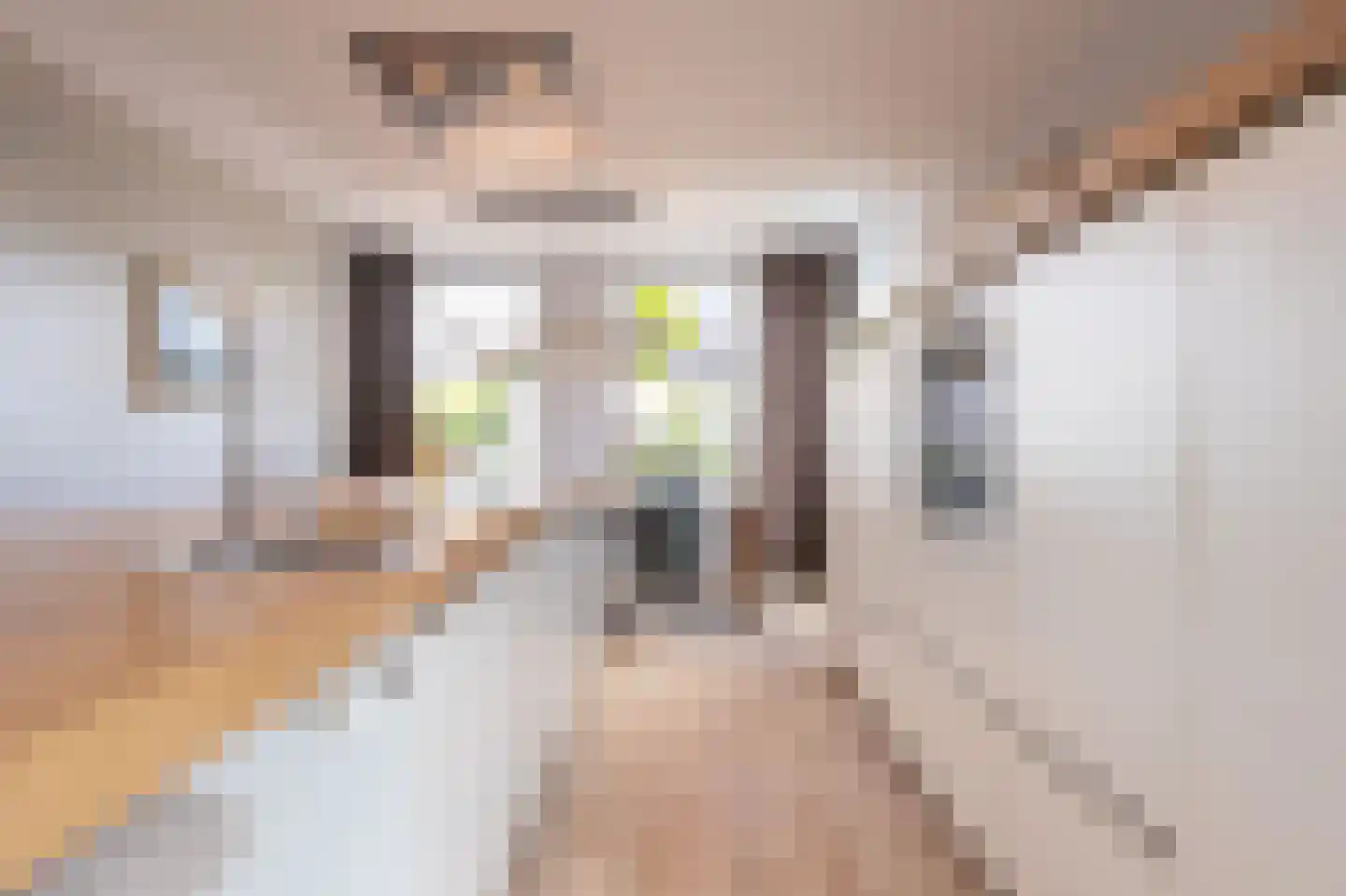 Knokkel 80 Andijk thumbnail 5