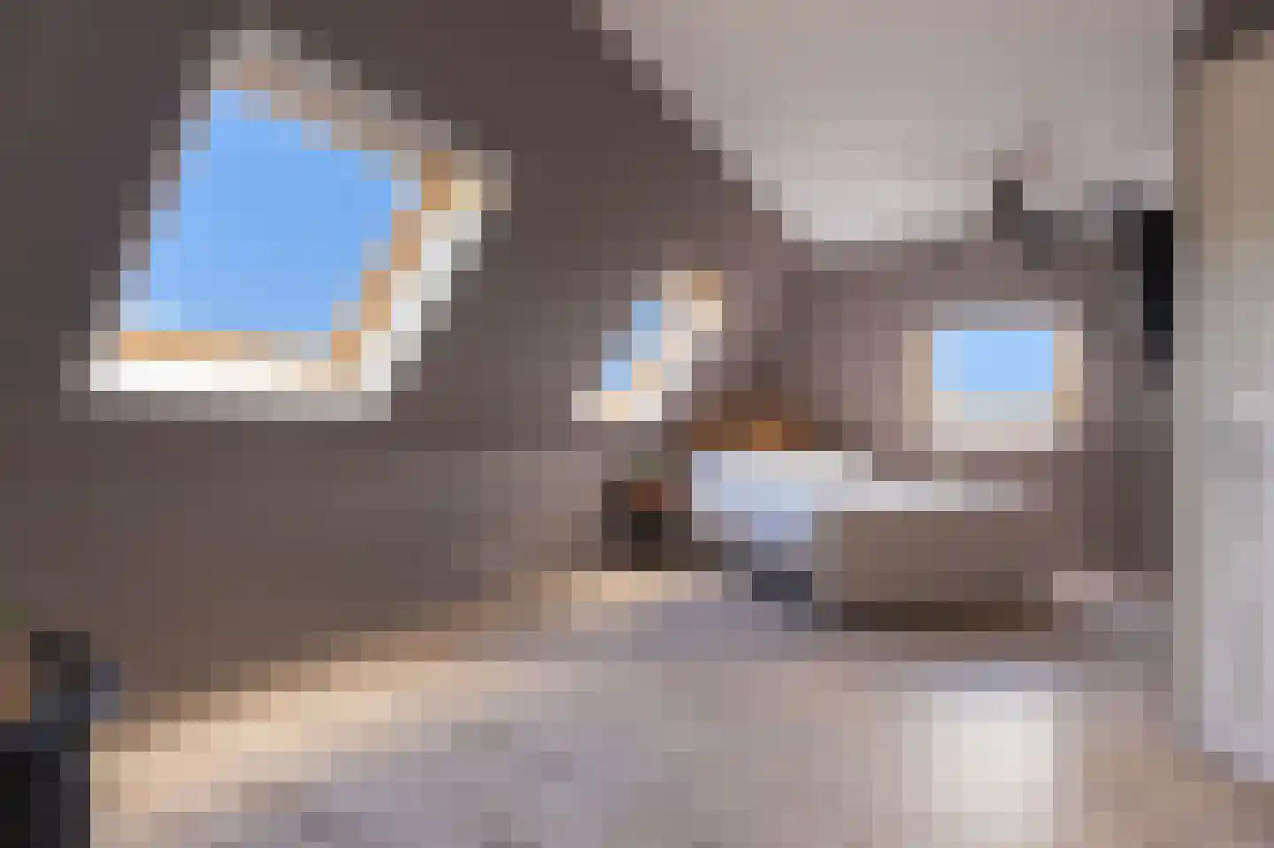 Knokkel 80 Andijk thumbnail 52