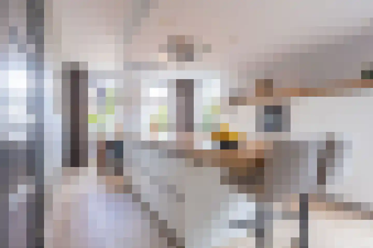 Knokkel 80 Andijk thumbnail 6