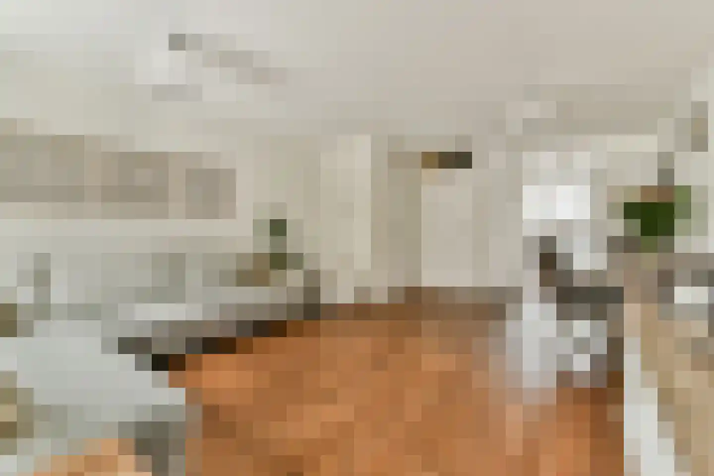 Knokkestraat 1 Amsterdam thumbnail 12