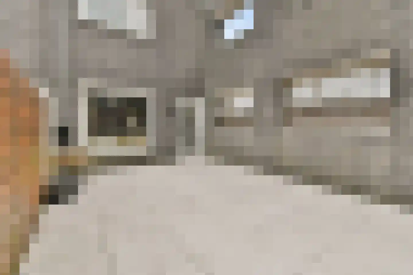 Knokkestraat 1 Amsterdam thumbnail 13