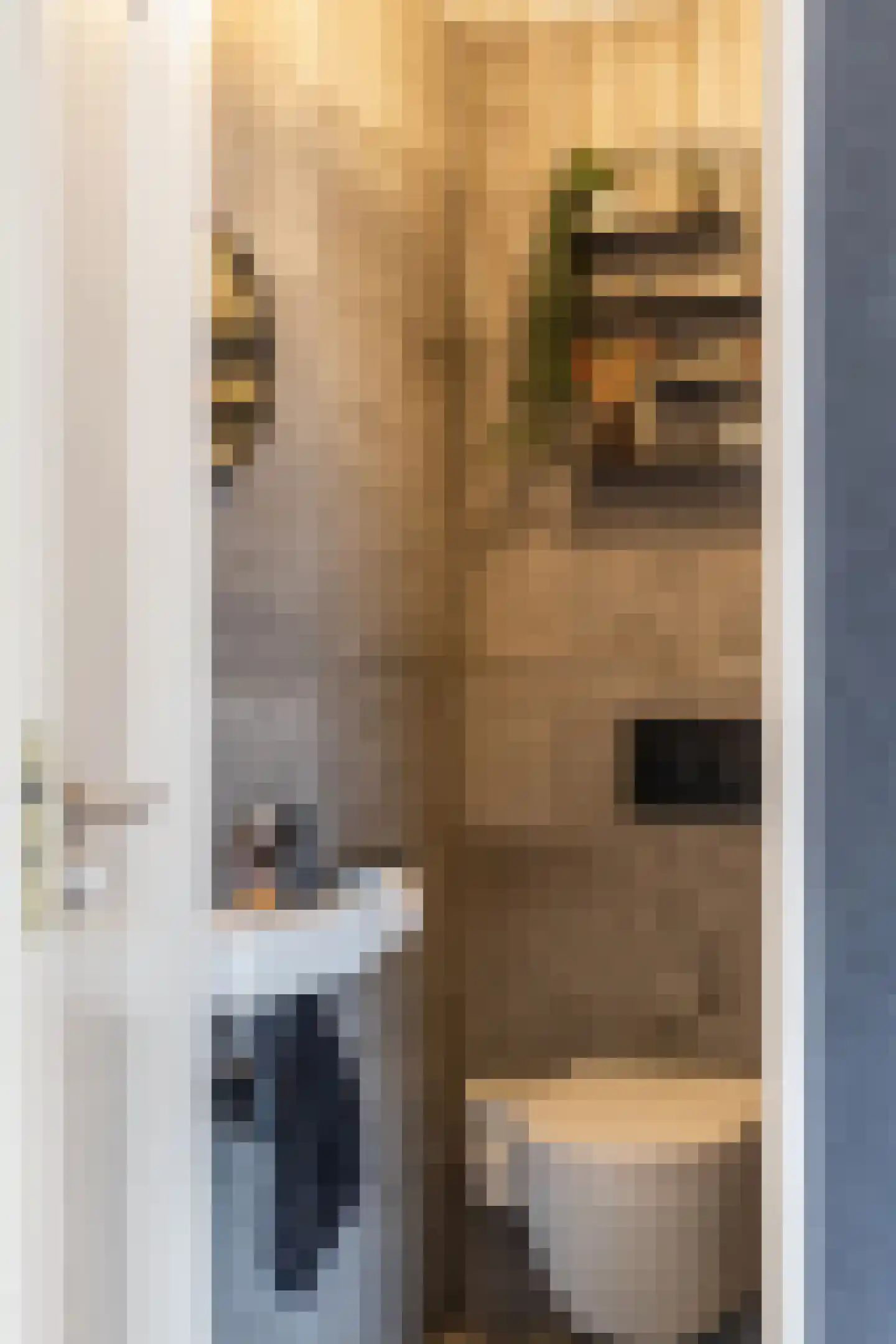 Knokkestraat 65 Amsterdam thumbnail 11