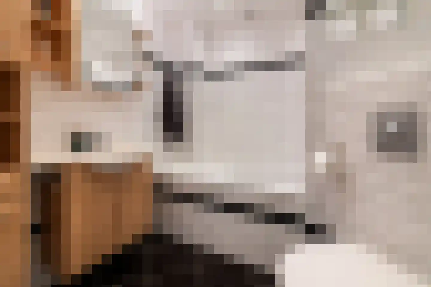 Knokkestraat 65 Amsterdam thumbnail 19