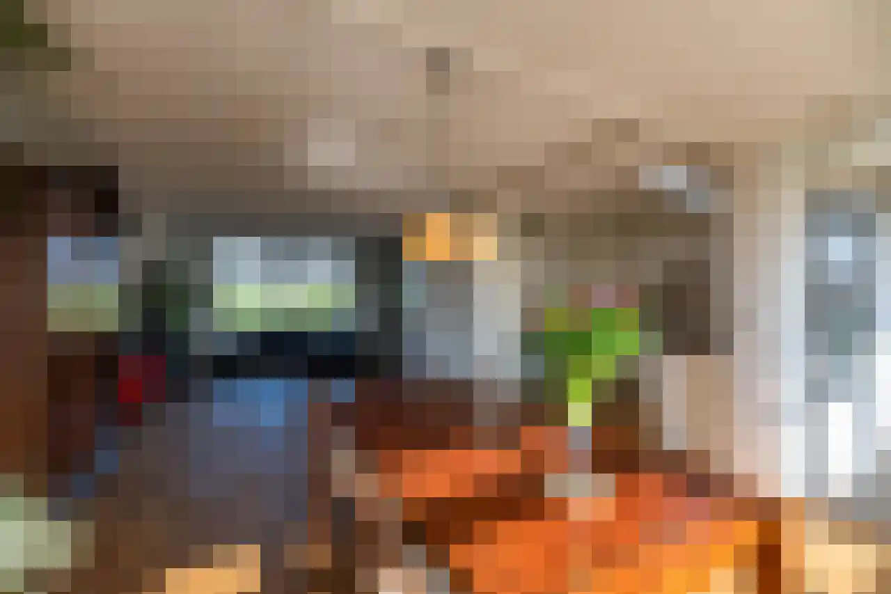 Knol 10 Hoek thumbnail 10