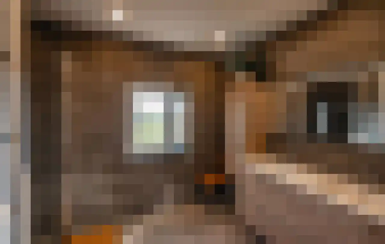 Knol 10 Hoek thumbnail 19