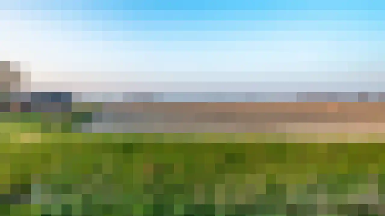 Knol 10 Hoek thumbnail 24