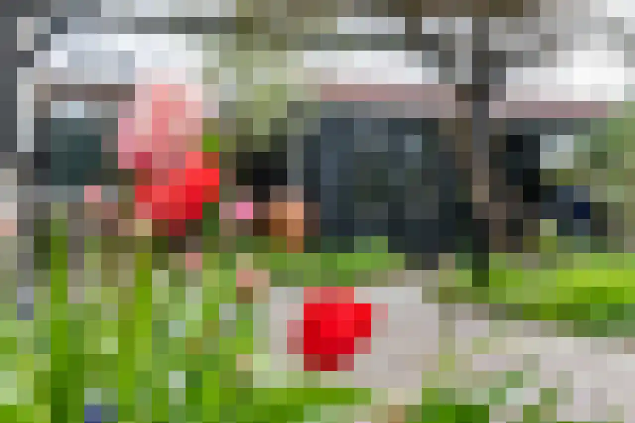 Knol 10 Hoek thumbnail 32
