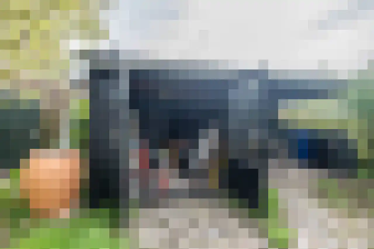Knol 10 Hoek thumbnail 33