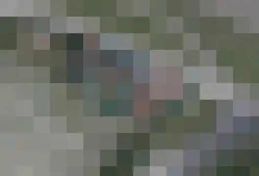 Knol 10 Hoek thumbnail 53