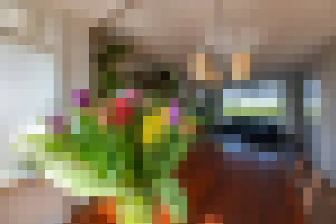 Knol 10 Hoek thumbnail 9