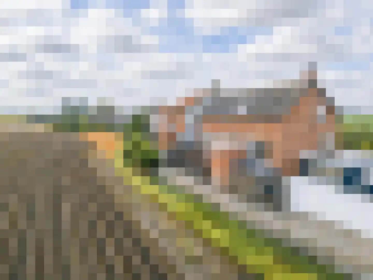 Knol 18 Hoek thumbnail 37