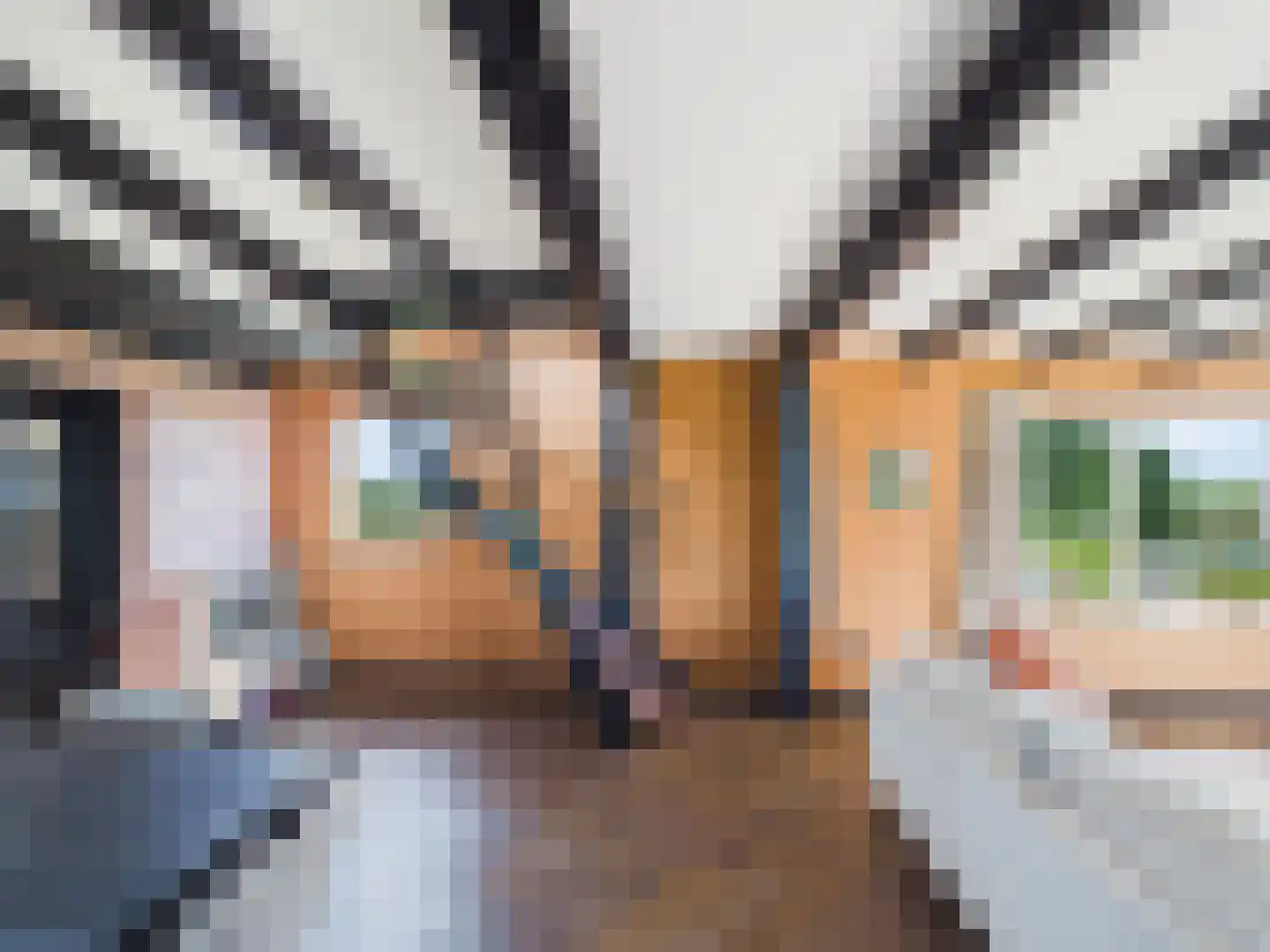 Knol 27 Hoek thumbnail 10