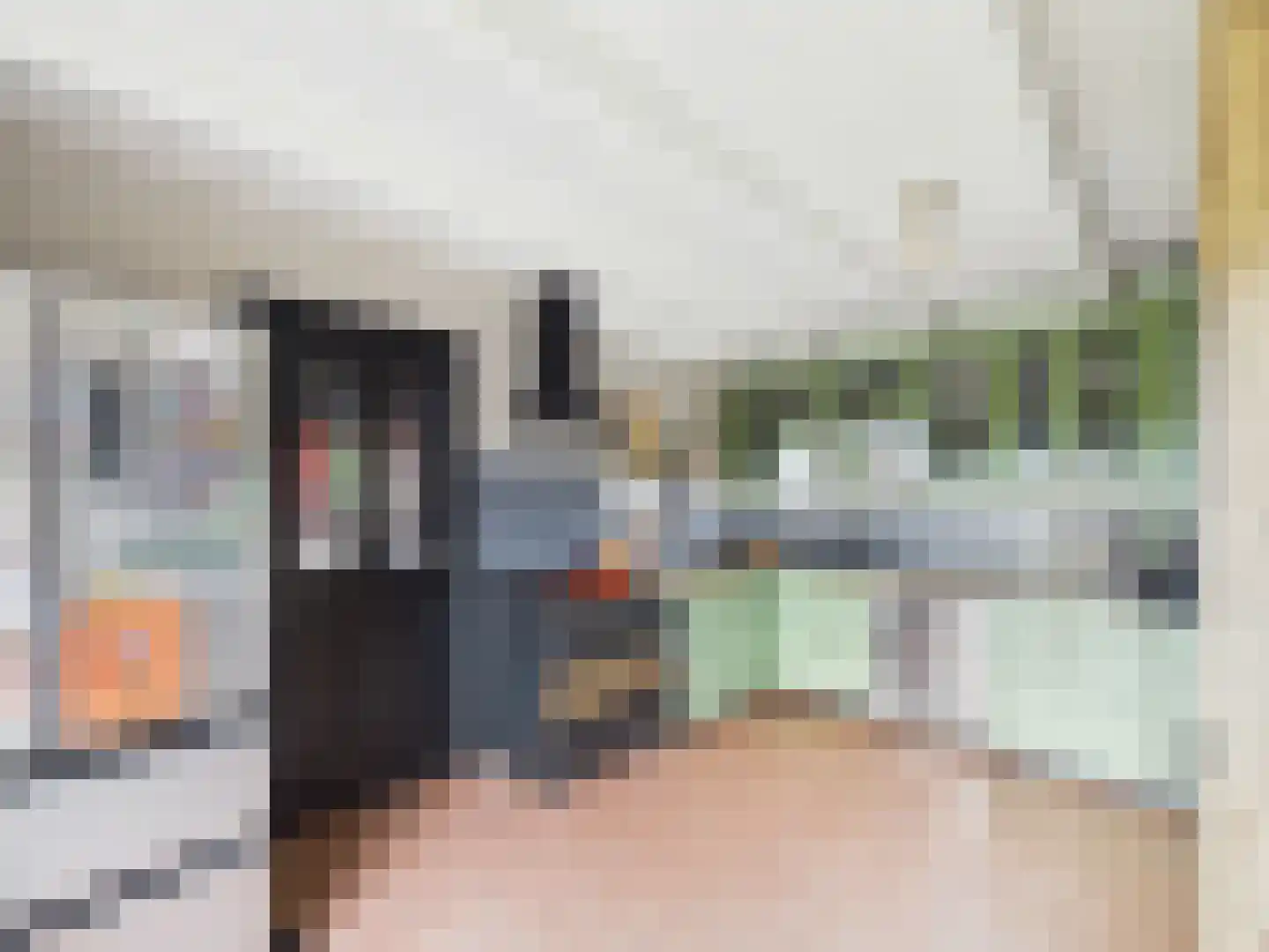 Knol 27 Hoek thumbnail 17
