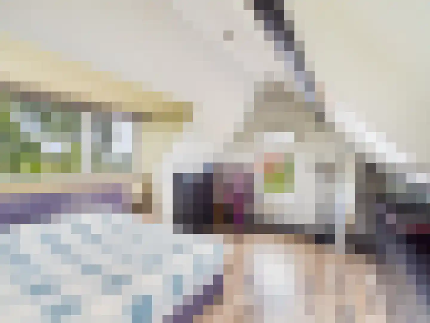 Knol 27 Hoek thumbnail 27