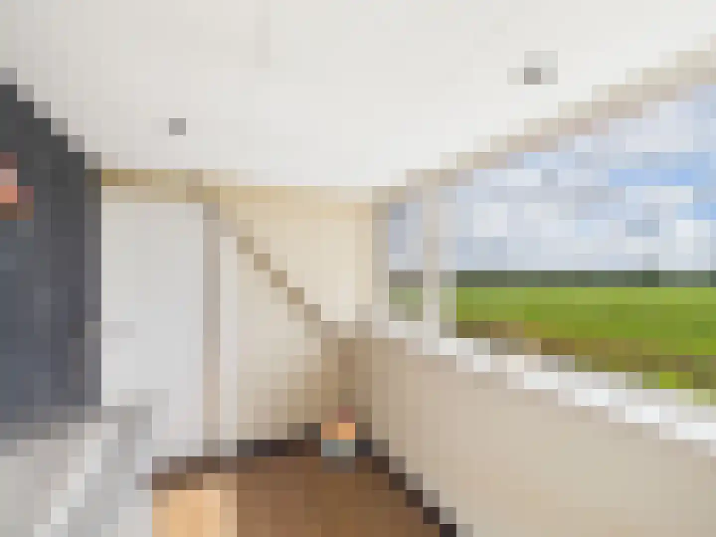 Knol 27 Hoek thumbnail 32
