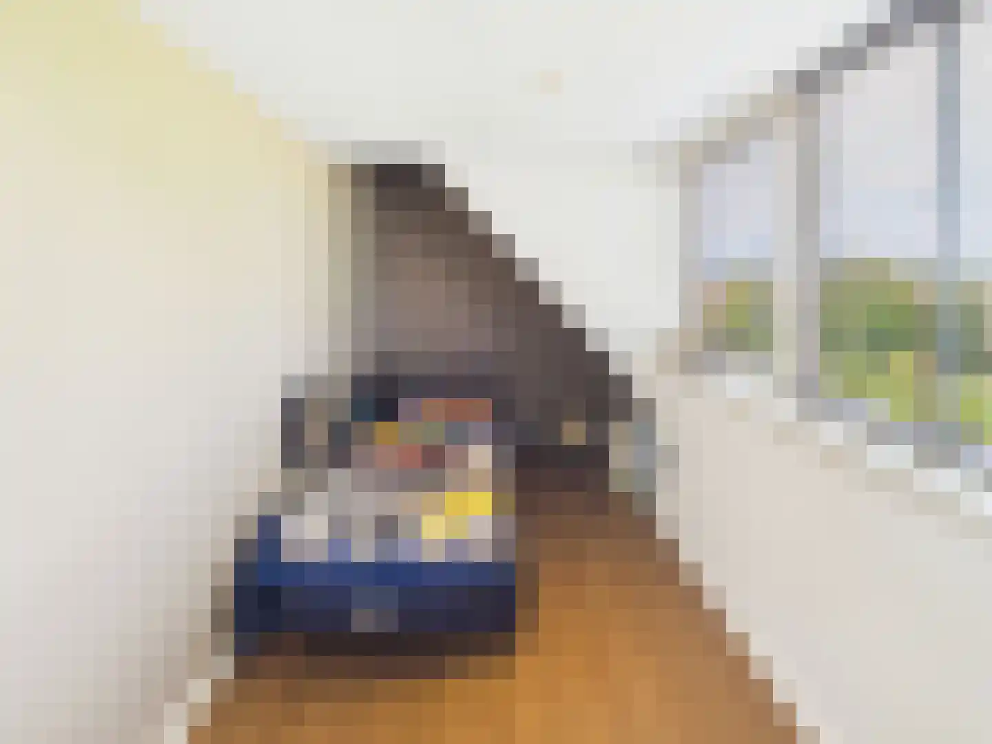 Knol 27 Hoek thumbnail 33