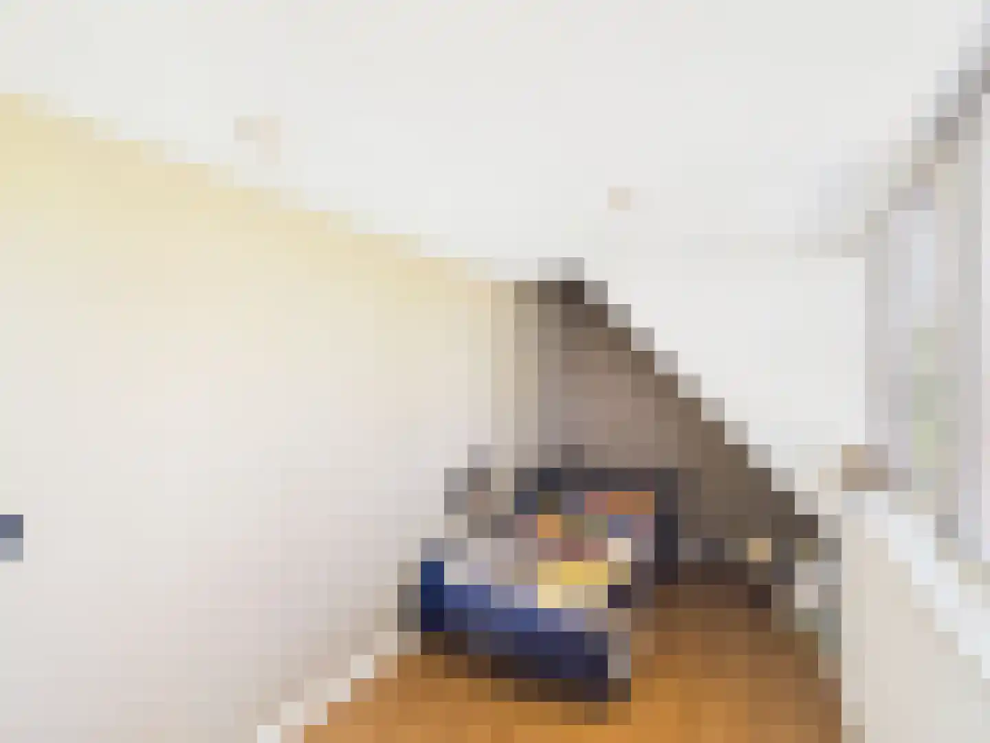 Knol 27 Hoek thumbnail 34