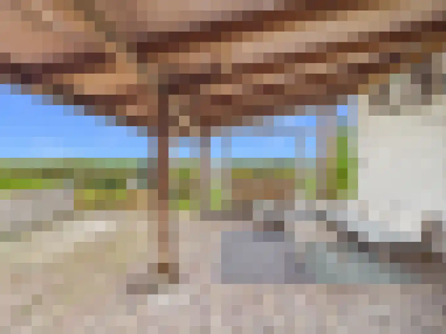 Knol 27 Hoek thumbnail 39