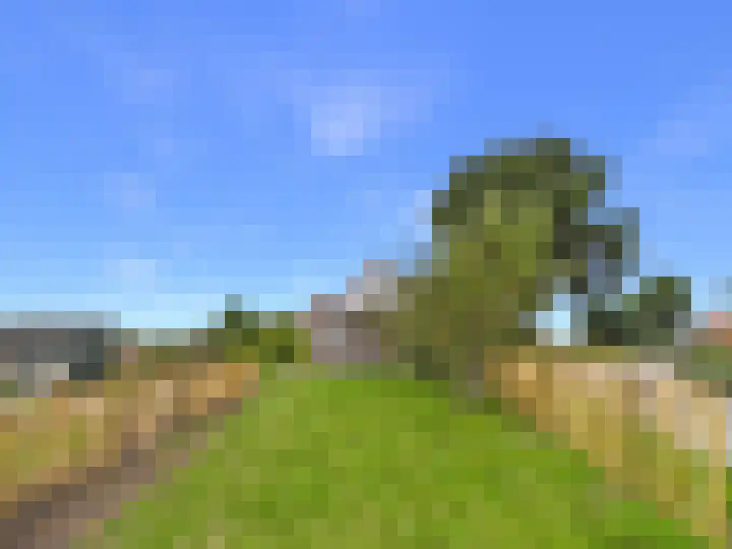 Knol 27 Hoek thumbnail 41