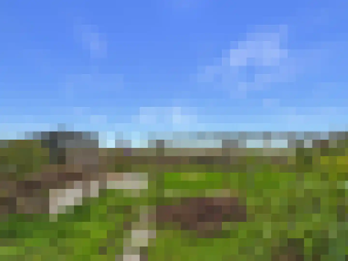 Knol 27 Hoek thumbnail 43