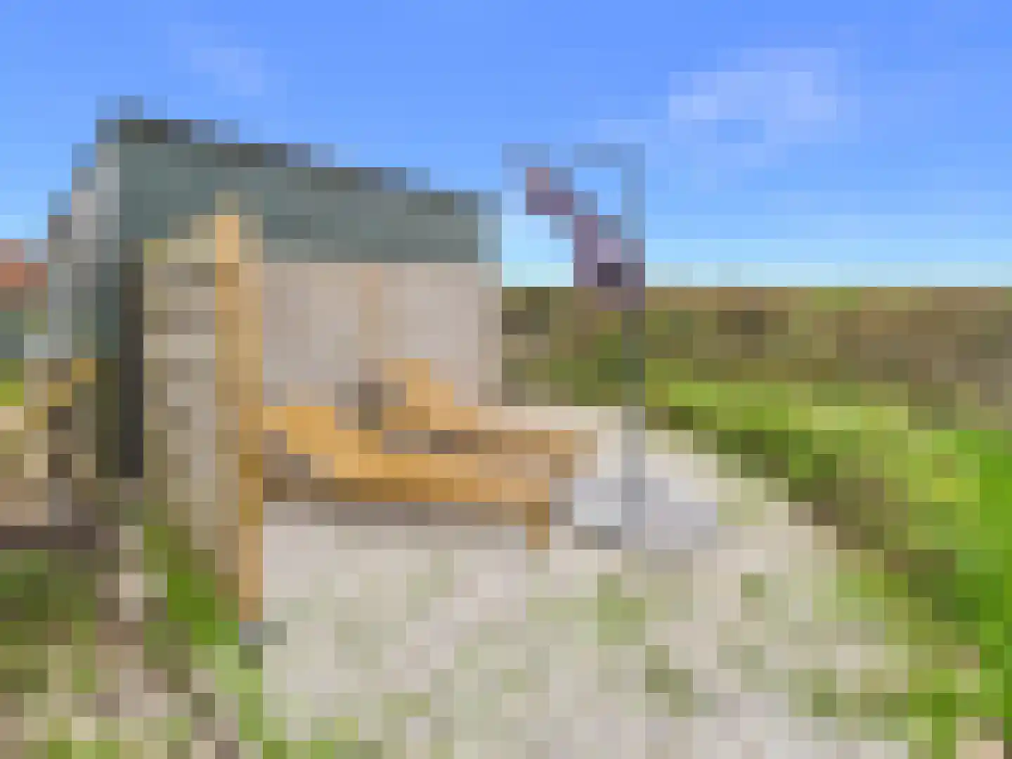 Knol 27 Hoek thumbnail 44