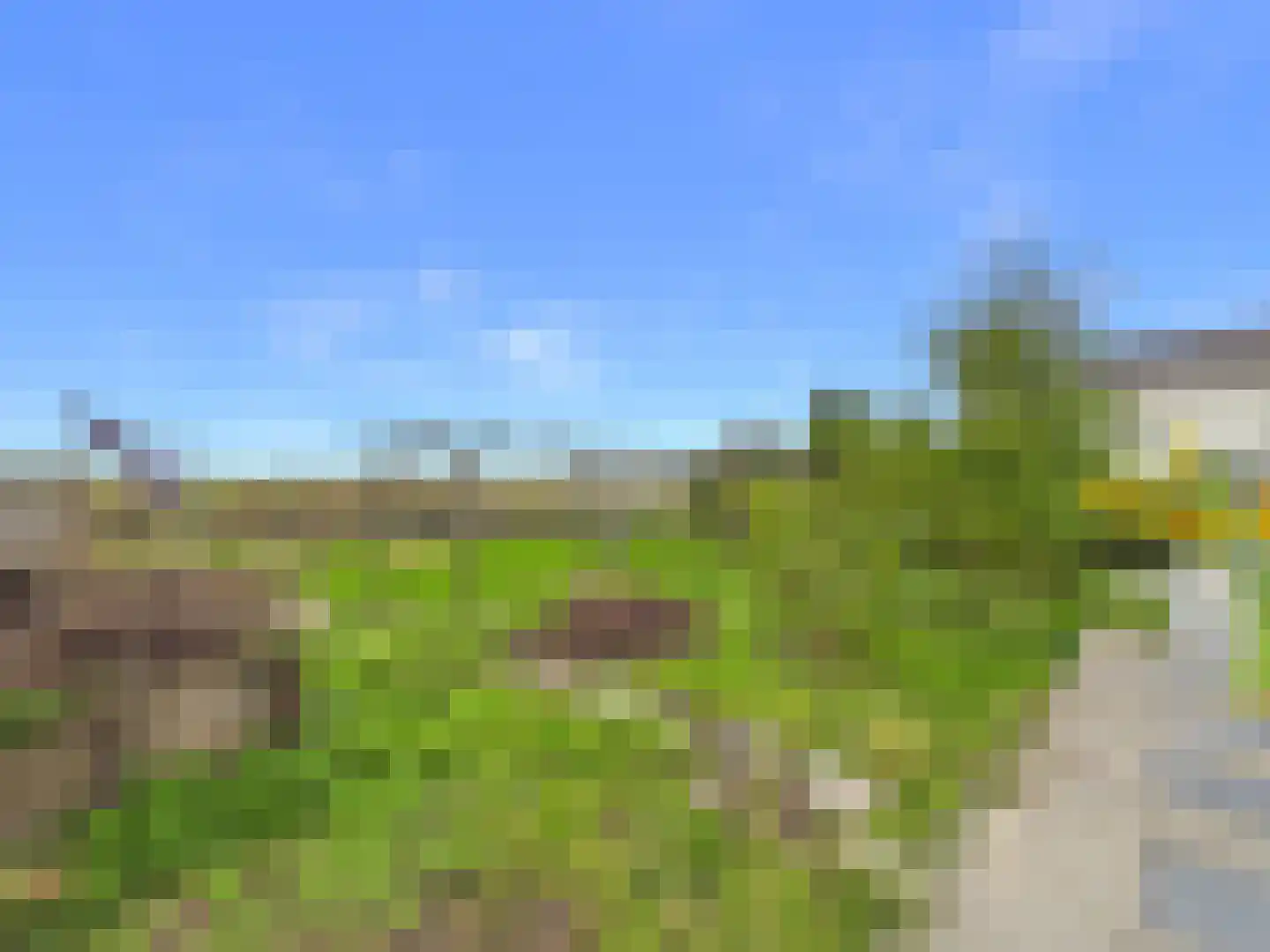 Knol 27 Hoek thumbnail 49