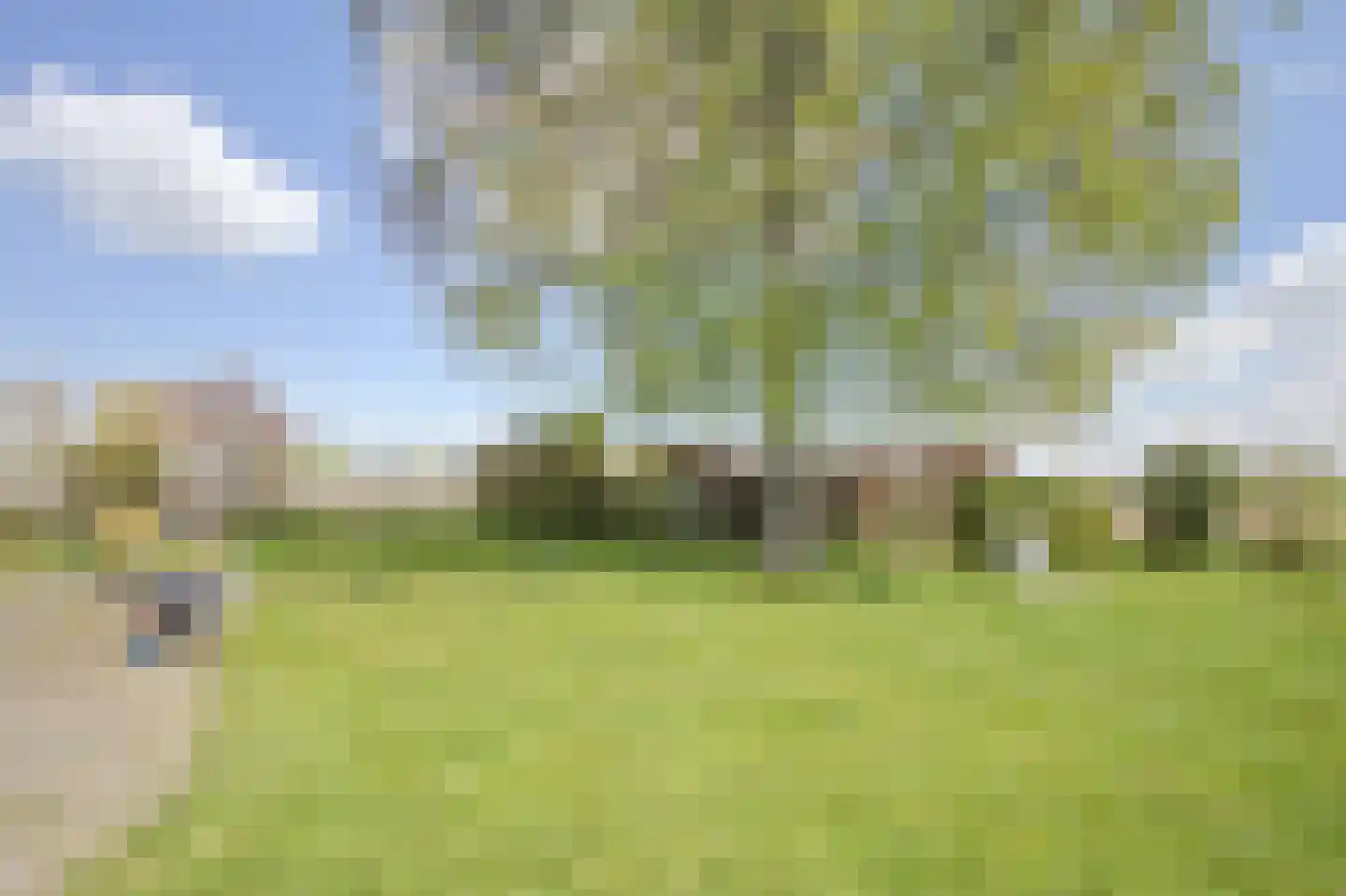 Knol 38 Hoek thumbnail 25