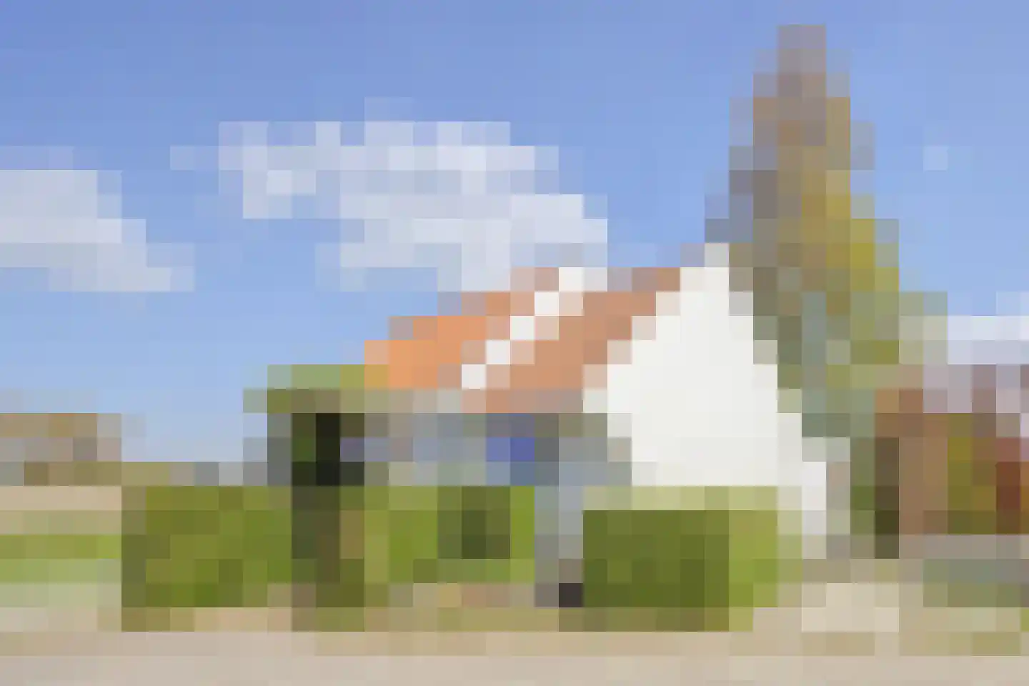 Knol 38 Hoek thumbnail 4