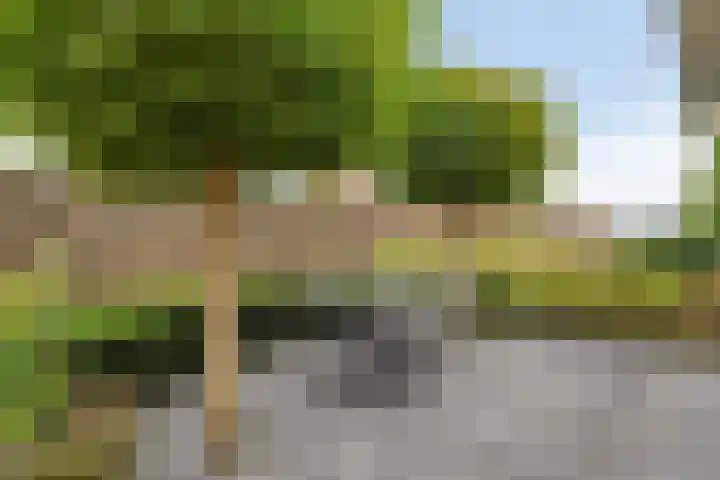 Knollemanshoek 7 B Montfoort thumbnail 13