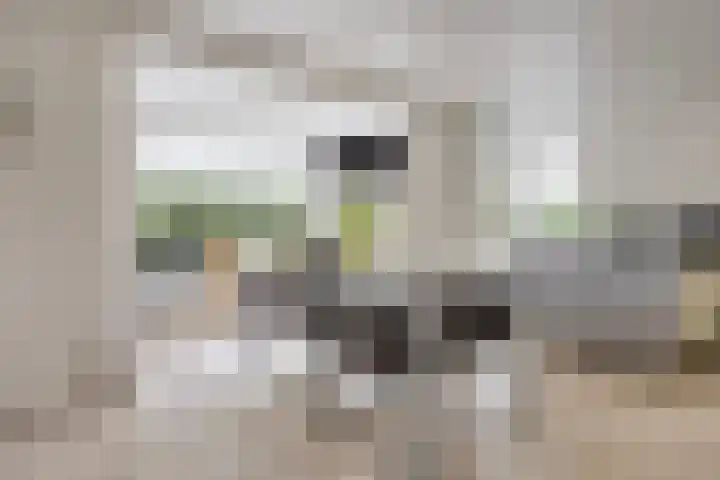 Knollemanshoek 7 B Montfoort thumbnail 22