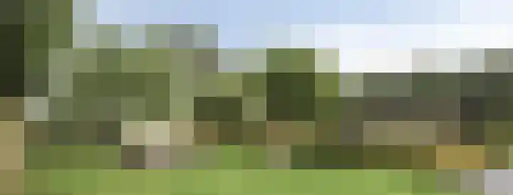 Knollemanshoek 7 B Montfoort thumbnail 33